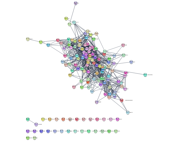 ../_images/tutorials_Cancer-networks-and-data_14_0.png