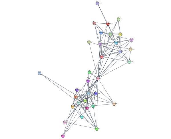 ../_images/tutorials_Cancer-networks-and-data_46_0.png