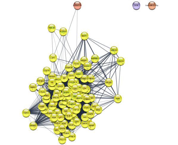 ../_images/tutorials_Filtering-Networks_10_0.png
