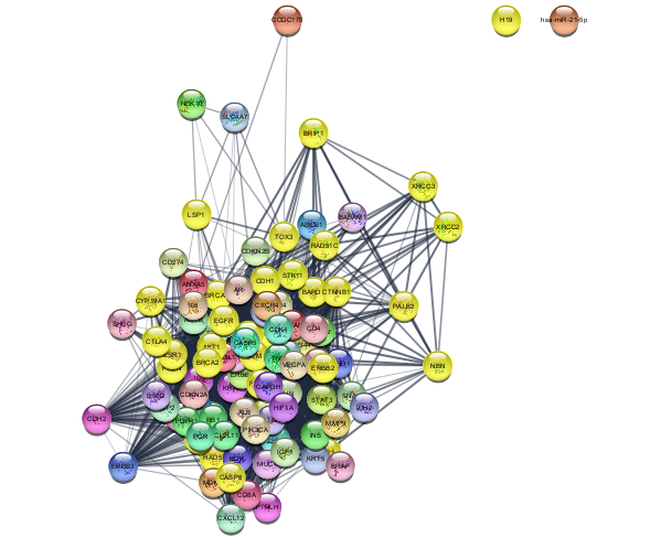 ../_images/tutorials_Filtering-Networks_16_0.png