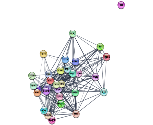 ../_images/tutorials_Filtering-Networks_19_0.png