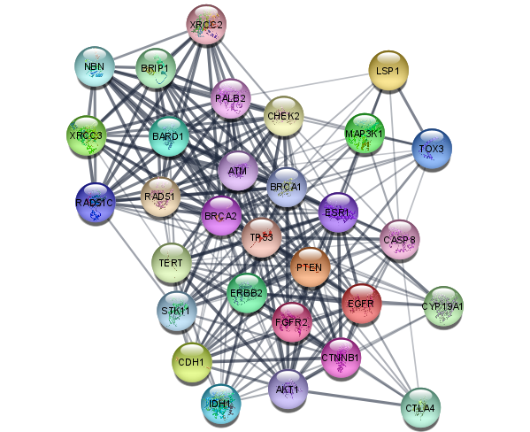 ../_images/tutorials_Filtering-Networks_26_0.png